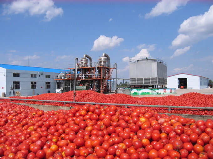 Arkhum (Tianjin) Health Technology Co., Ltd. خط إنتاج الشركة المصنعة